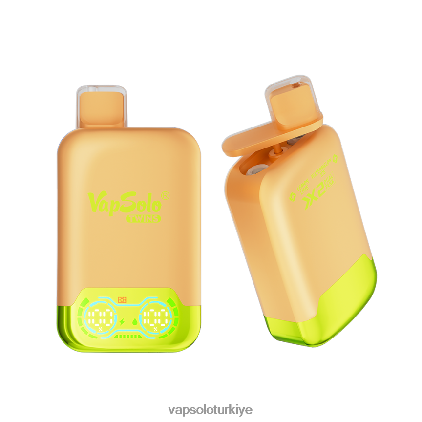 VapSolo Türkiye - limonlu limonlu ve karpuzlu buz VapSolo TWINS tek kullanımlık elektronik sigara 6L02XF29