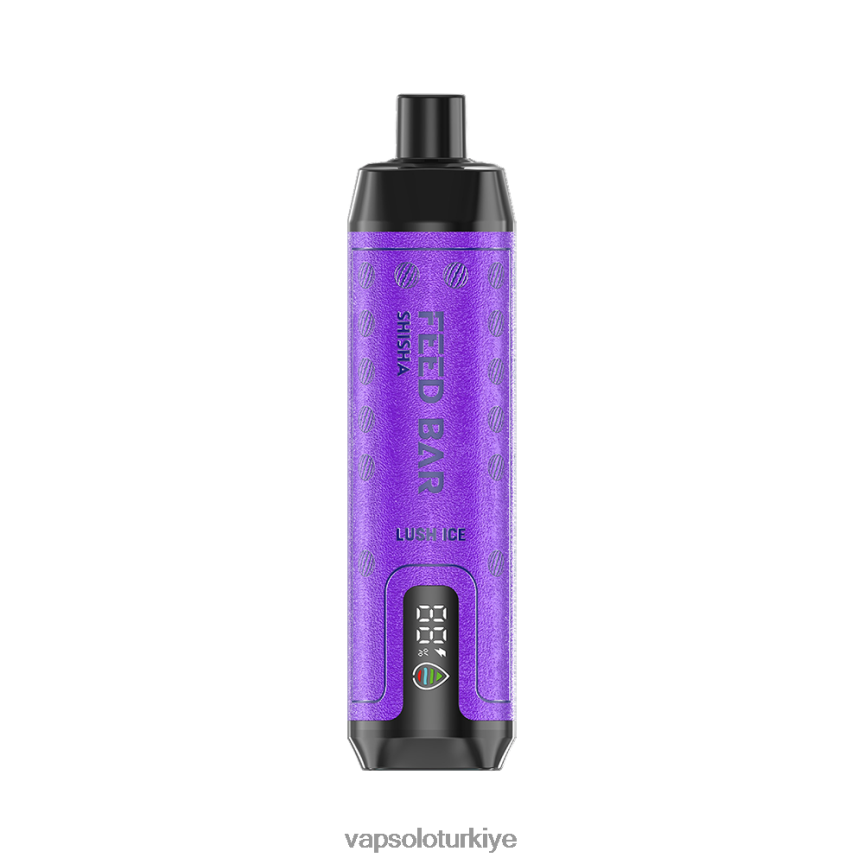 VapSolo 15000 - yemyeşil buz VapSolo SHISHA tek kullanımlık elektronik sigara 6L02XF8