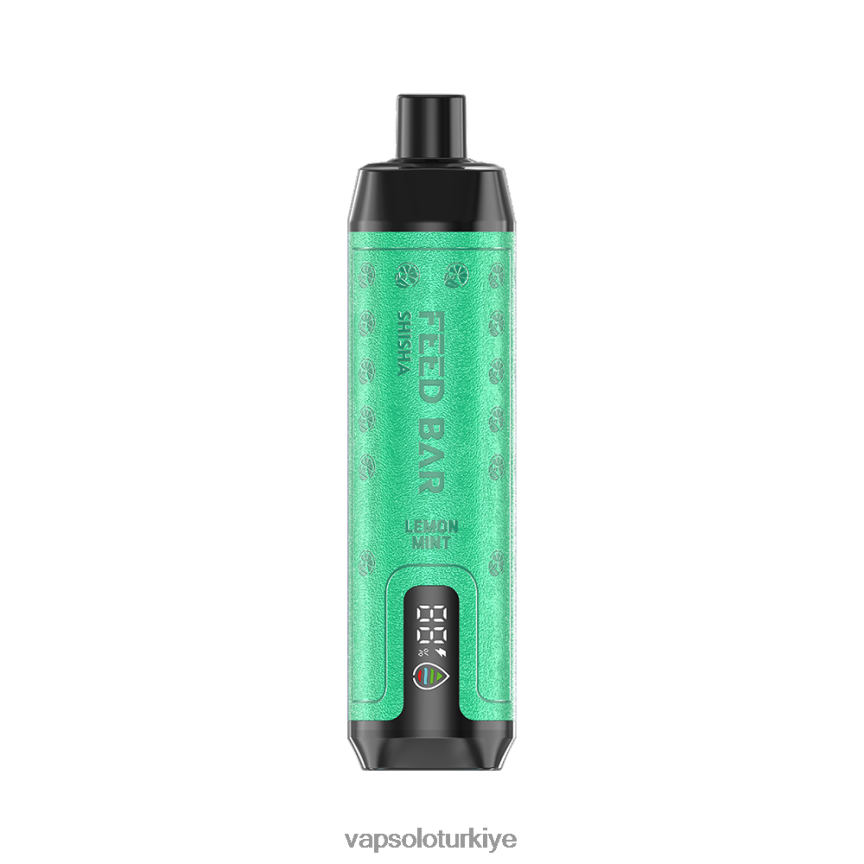 VapSolo Flavours - limon nane VapSolo SHISHA tek kullanımlık elektronik sigara 6L02XF7