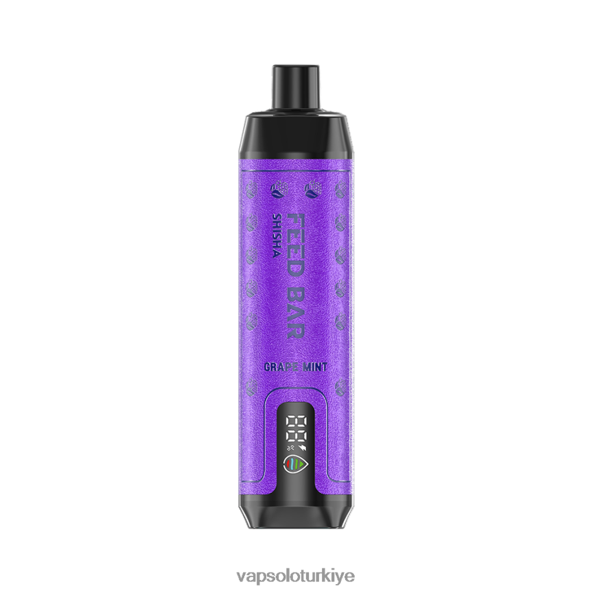 VapSolo Review - üzüm nane VapSolo SHISHA tek kullanımlık elektronik sigara 6L02XF6