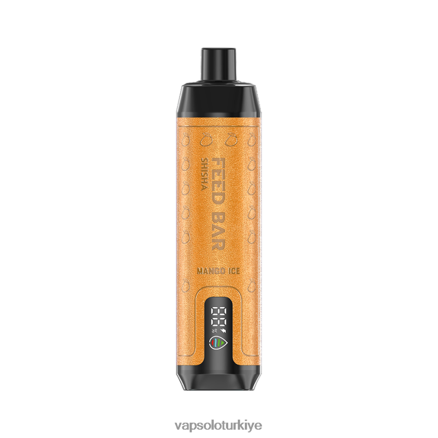 VapSolo Türkiye - mango buzu VapSolo SHISHA tek kullanımlık elektronik sigara 6L02XF9
