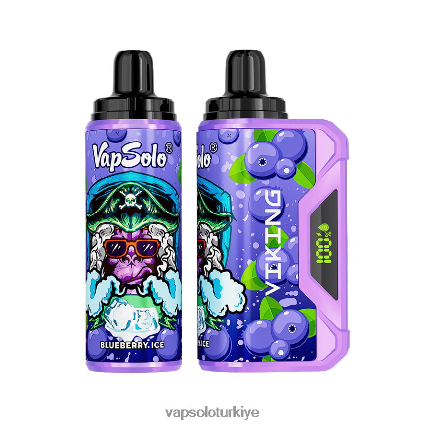 VapSolo Puff - Yabanmersini VapSolo VIKING tek kullanımlık elektronik sigara 6L02XF36