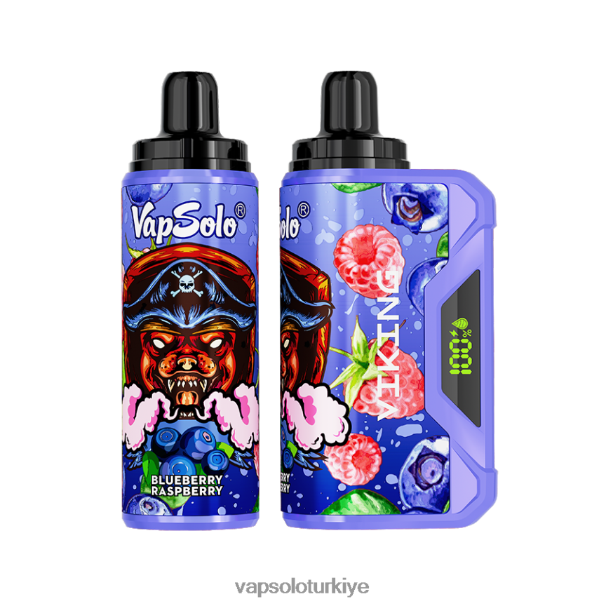 VapSolo Review - yaban mersini ahududu VapSolo VIKING tek kullanımlık elektronik sigara 6L02XF38