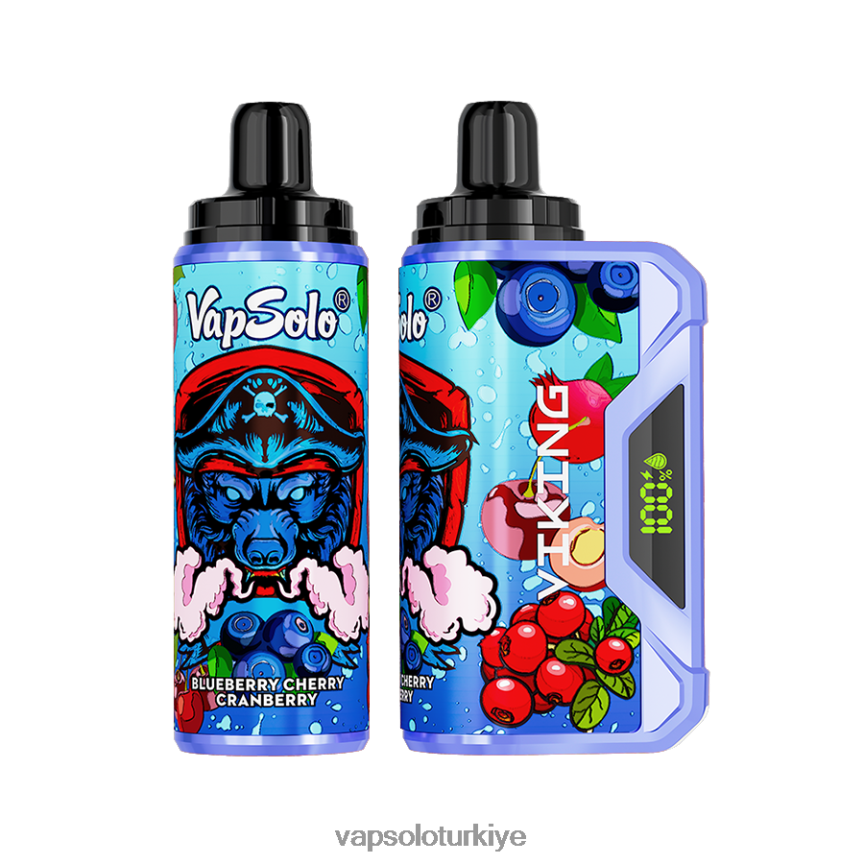 VapSolo Türkiye - yaban mersini kiraz kızılcık VapSolo VIKING tek kullanımlık elektronik sigara 6L02XF37
